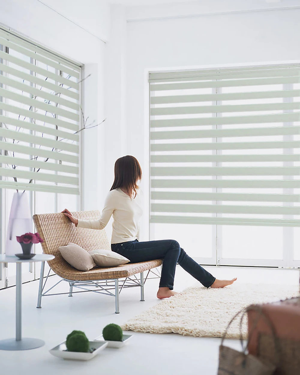 zebra blinds effect (18).jpg
