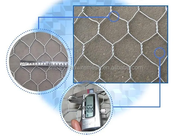 Lobster Trap / Crab / Fish Trap Pvc Coated Hot Dipped Galvanized