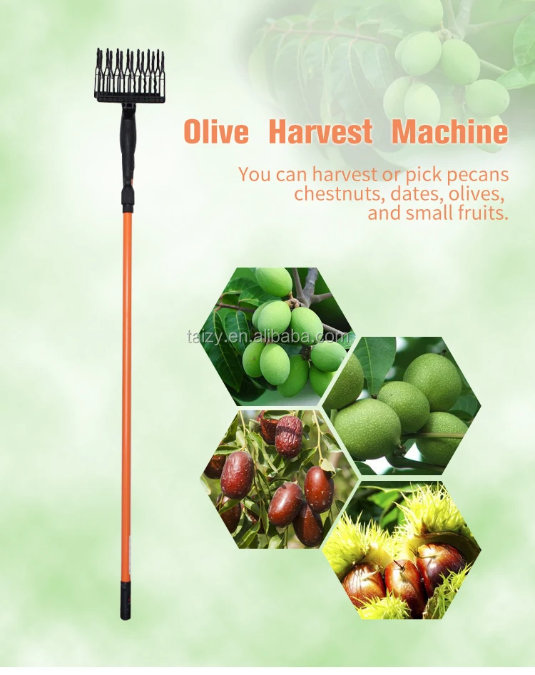 12v Tools For Olive Hand Olive Picking Machine Buy Hand Olive Picking