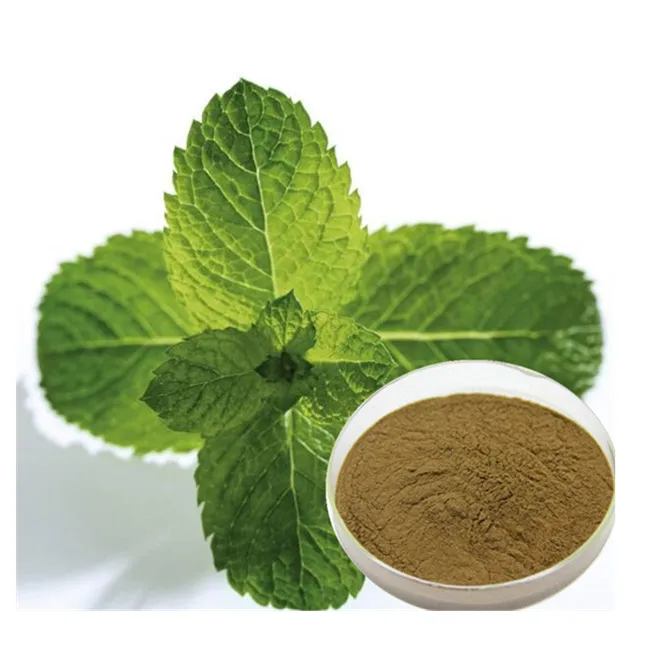 Mint flavour. Mentha piperita порошок. Мяты экстракт. Порошок мяты перечной. Густые экстракты мяты.