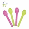 Biodegradable spoon for ice cream