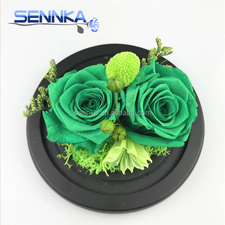 roses preserved in glass