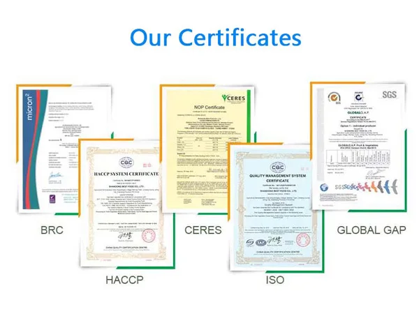 certificates1.jpg