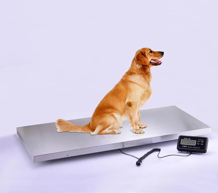 Animal/pet Electronic Weighing Scales Livestock Scale For Dog Buy