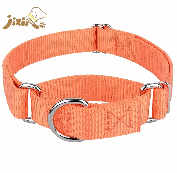 No Buckle Adjustable Heavy Duty Nylon Martingale Dog Collar With