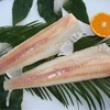 frozen seafood sea pollock fish