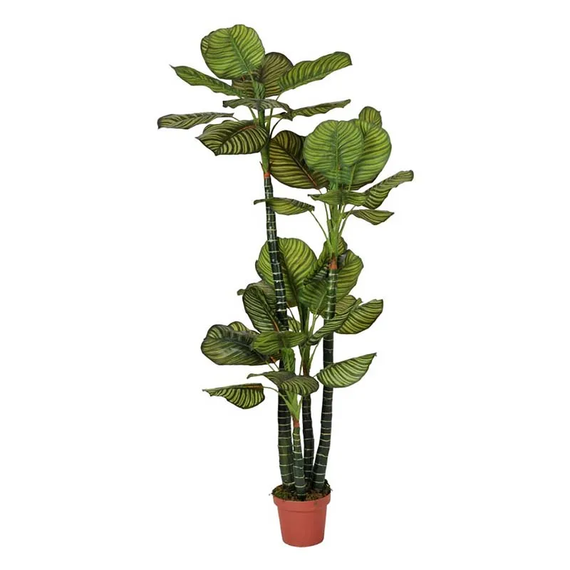 Aglaonéma artificiel-100cm