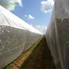 hail net system,white anti hail net for agricultural,plants protection netting