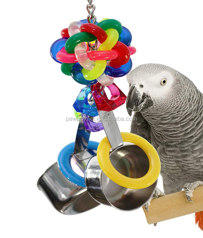 macaw foraging toys