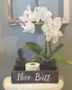 Nice Butt Bathroom Storage Box Caddy standing toilet paper holder