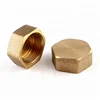BSPT Brass Hpb59-1 Female End Cap Fittings for Plumbing with High Pressure
