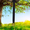 Tree Swing Strap - Safety Swing Handing Rope, Adjustable and Easy Installation, Swing Rope With Heavy-Duty Hooks
