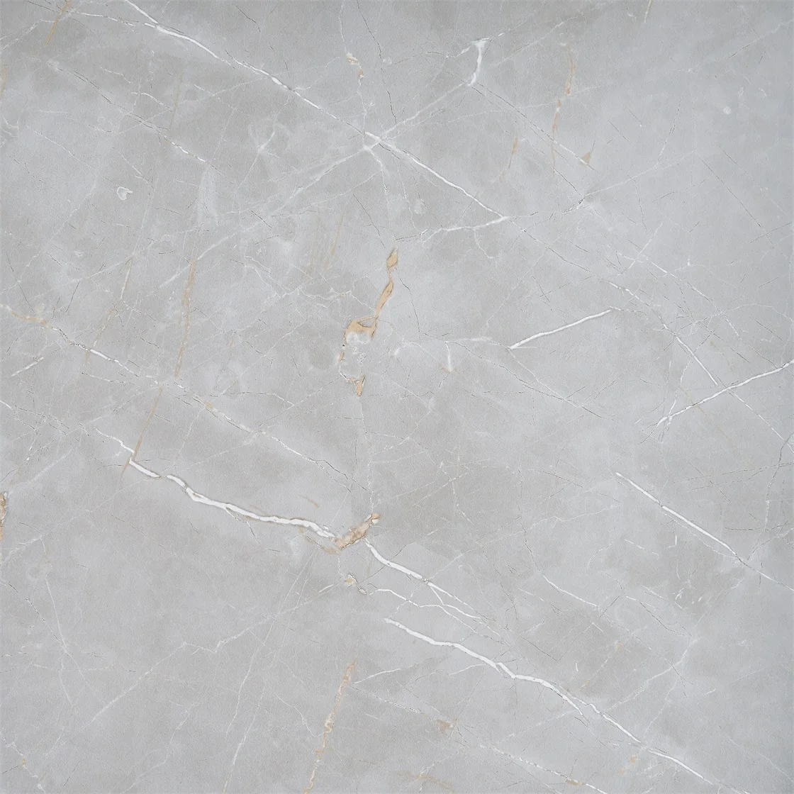 60 60 Ceramic Floor Tile Porcellanato Floor Ceramic Tile