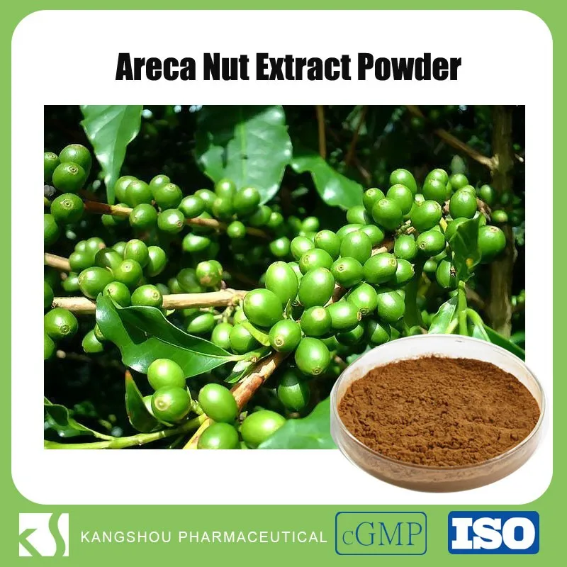 100% natural betel nut extract areca nut extract powder