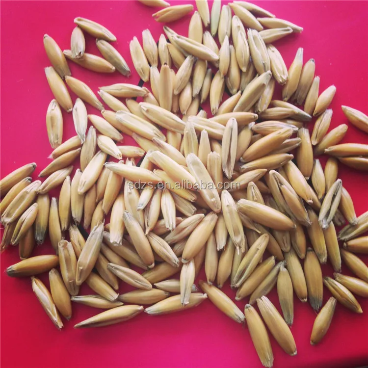Oats trading system