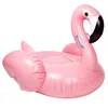 Most popular pink plastic inflatable swan rider pool float for adults and kids