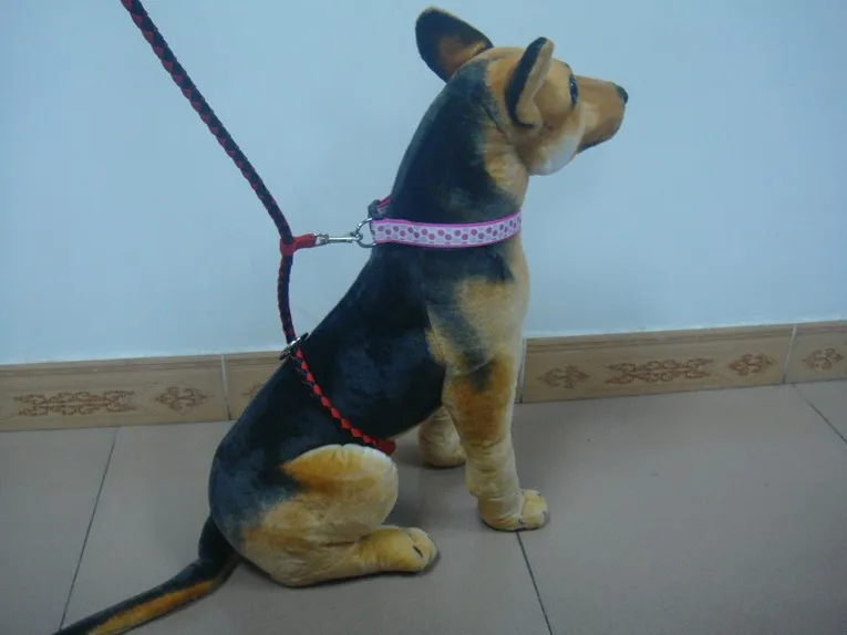 3/8" Dia. Read And Black Dog Leash That Goes Around Waist For Medium Dog Ship To Your Fba