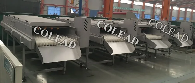 Brush cleaning machine_