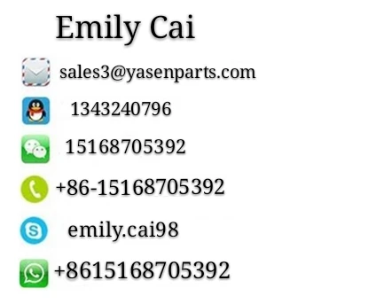Emily Cai