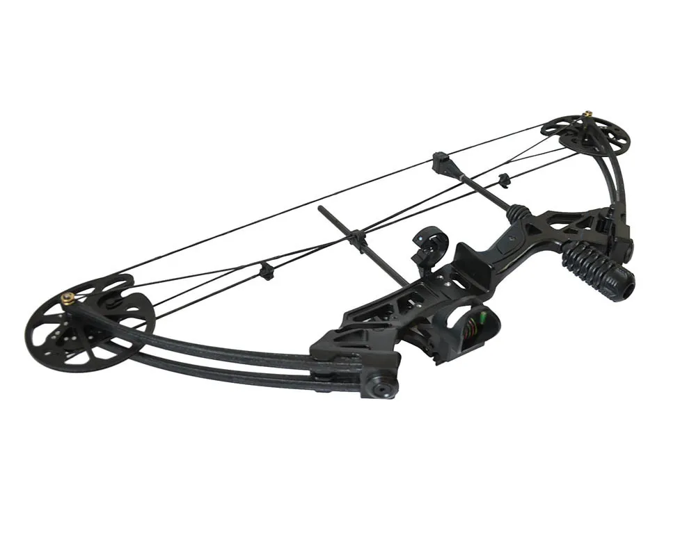 Cheap Compound Bow Archery Hunting Compound Bow 35lbs70lbs With Arrow