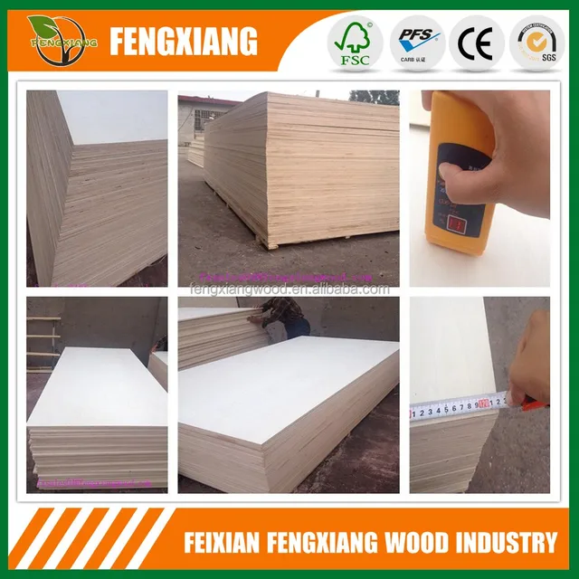 white faced poplar plywood