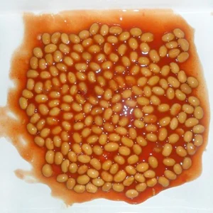 Nutrition Food fresh canned baked beans in brine