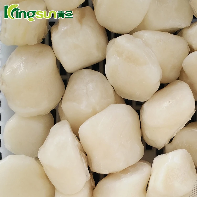 scallop price