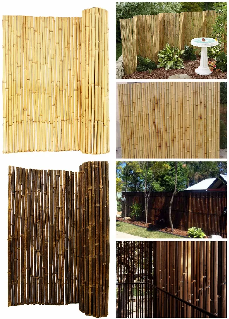 bamboo fence inside