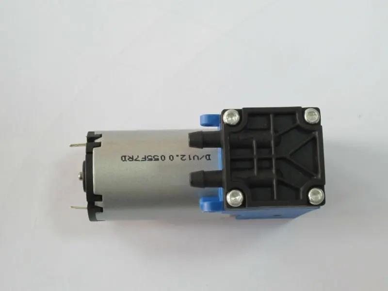WA55DC-5.JPG