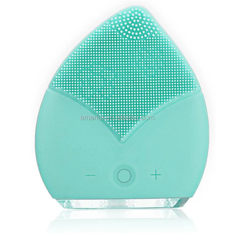 face brush