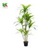 Chinese plant with Environment-friendly plant artificial Dracaena tree