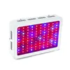 Full Spectrum Led Grow Lights Europe Corn Bulb 1000w Led Grow Light Double Chips