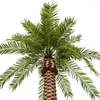 ST-DP31 outdoor style tree artificial straight shape palm tree date palm artificial factory price