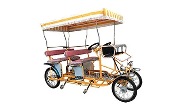 four person pedal bike