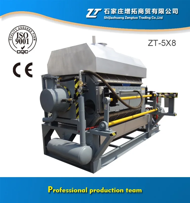 25 years paper pulp egg tray machinery/egg tray making production line ZT-5X8