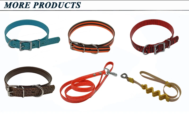 tpu dog collar and lead