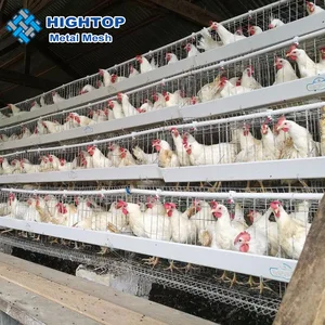 Chicken Farm Layer Cages For Sale In Zimbabwe Namibia