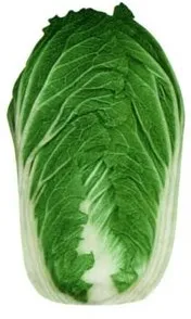 Chinese cabbage4.jpg