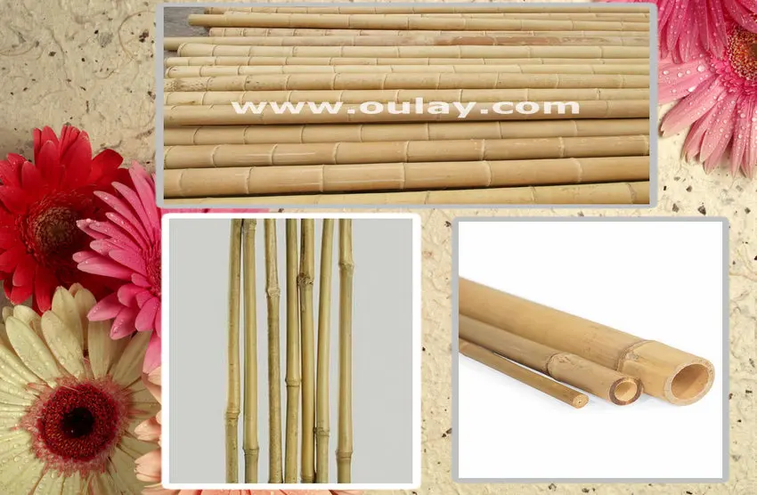 2022mm 120cm Thick Wall And Strong Tonkin Bamboo Canes Raw Bamboo With