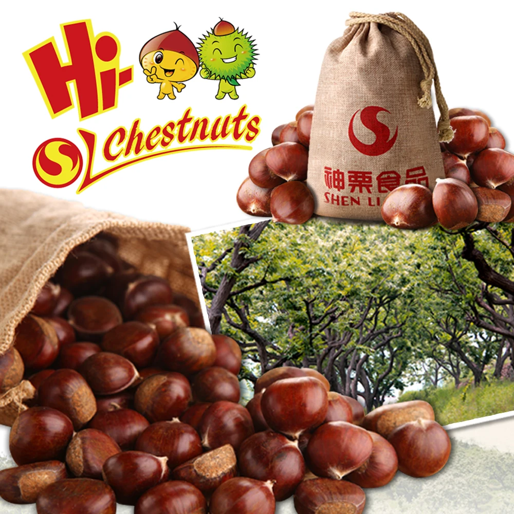 Iqf Chestnuts Quick Freezing Bulk Chestnuts For Sale Buy Frozen