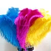 china factory wholesale feathers sale big size