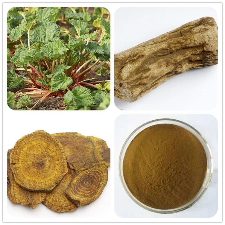 Rhubarb-extract-9.png