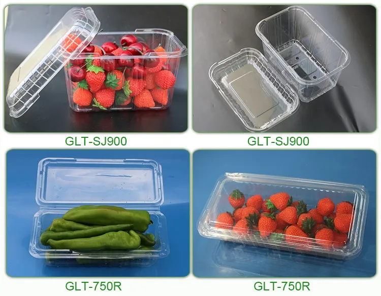 Promotional Customized Fruit Packaging Tray Fruit And Vegetable