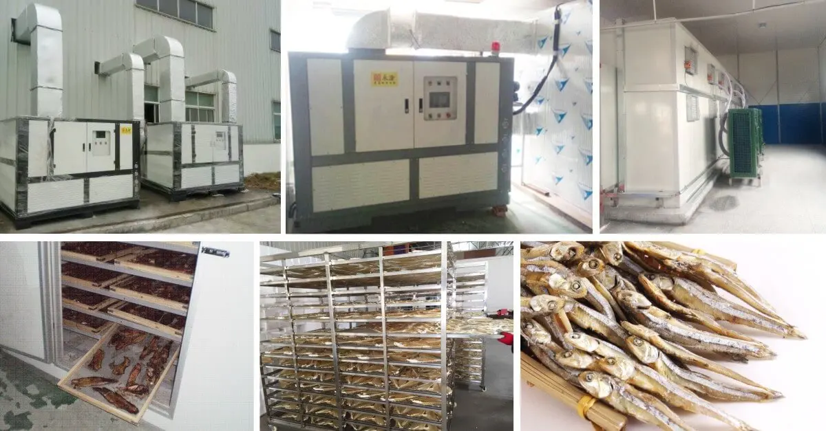 Energy saving 80 Solar Fish Drying Machine for fish rotary dryer