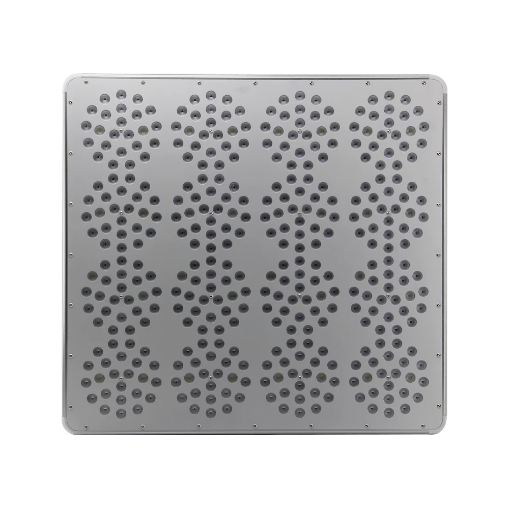 Plant Growth (2).png