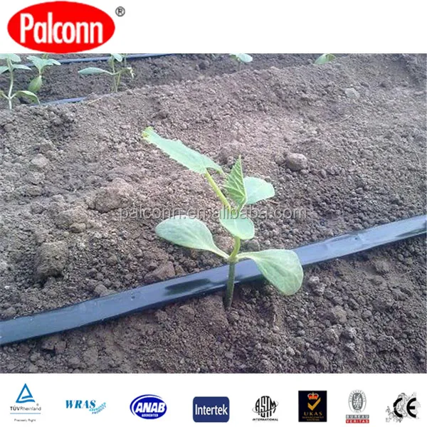 flat drip irrigation tape.jpg