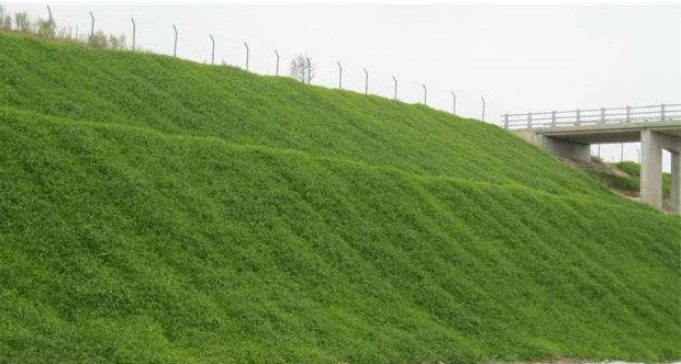 противоэрозийный геомат. защита склонов от эрозии. георешетка объемная геоспан: ор 30/20. геомат для укрепления откосов. защита склонов от эрозии.