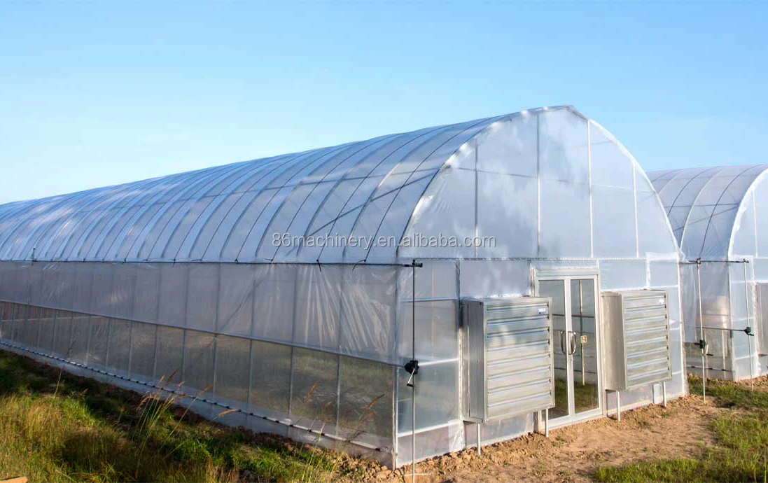 325 single-span greenhouse