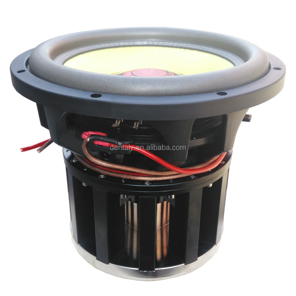 Dual 12 Inch Car Audio Dc 12v Subwoofer Enclosures Car Audio Speaker
