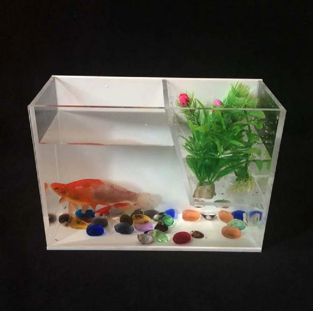 Wholesale Aquarium Tank Acrylic Fish - HTB12Vs1XIfrK1Rjy0Fm760hEXXaX